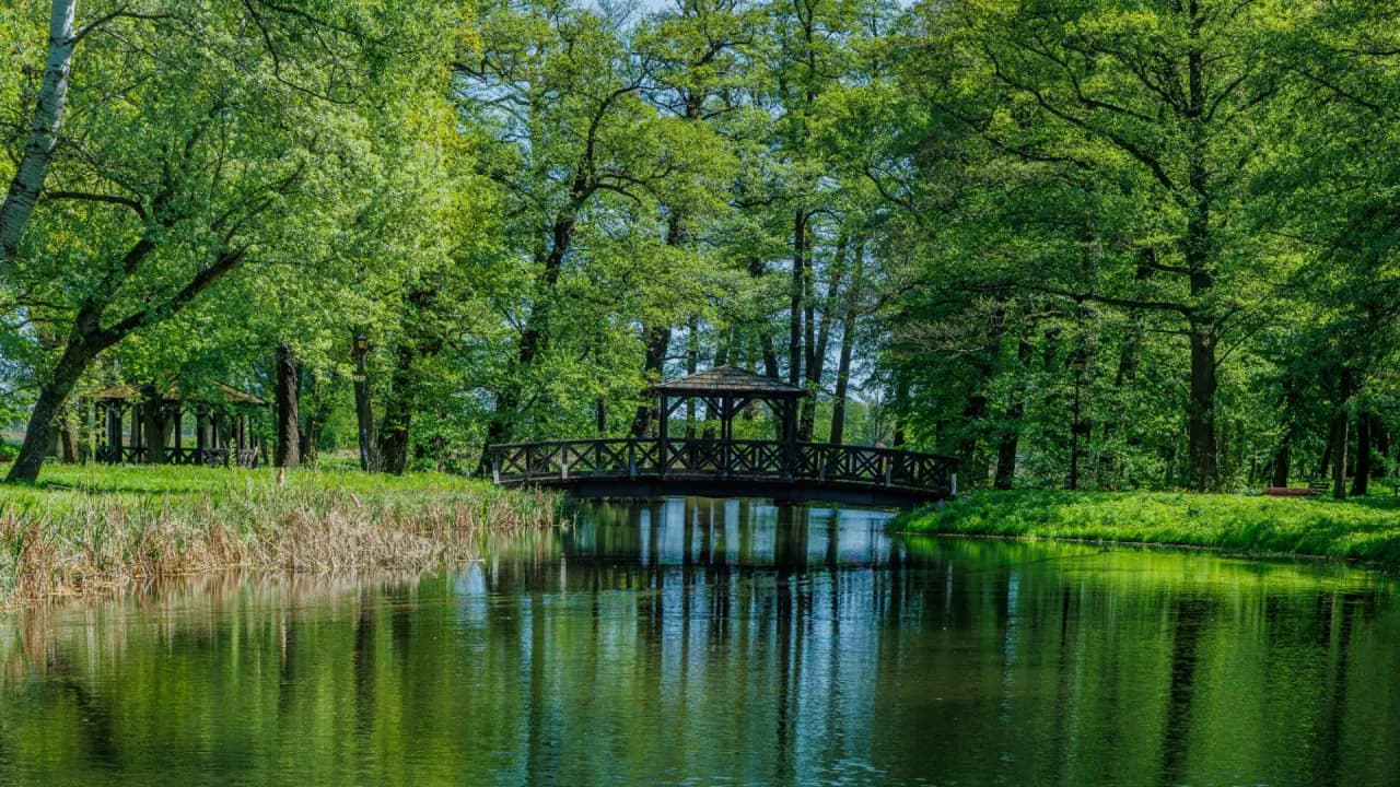 Najlepsze atrakcje w Pleszewie, które musisz zobaczyć podczas wizyty