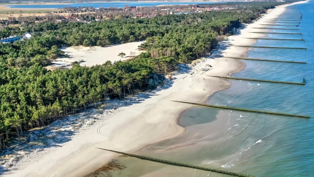 Najlepsze atrakcje w Rogowie, które musisz zobaczyć podczas wizyty