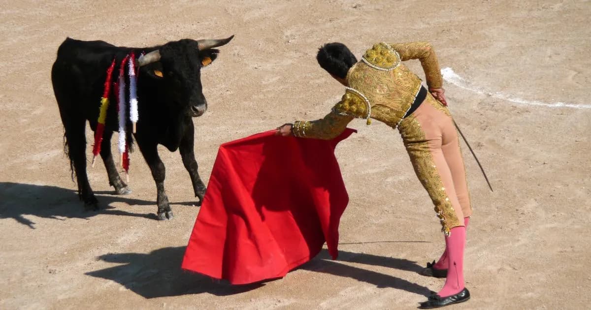 Czy corrida jest zakazana w Hiszpanii? Sprawdź kontrowersje prawne