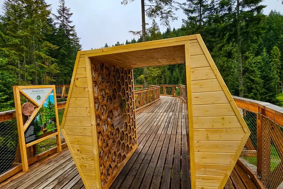 Najlepsze atrakcje w Waksmundzie: Odkryj piękno Gorców i więcej