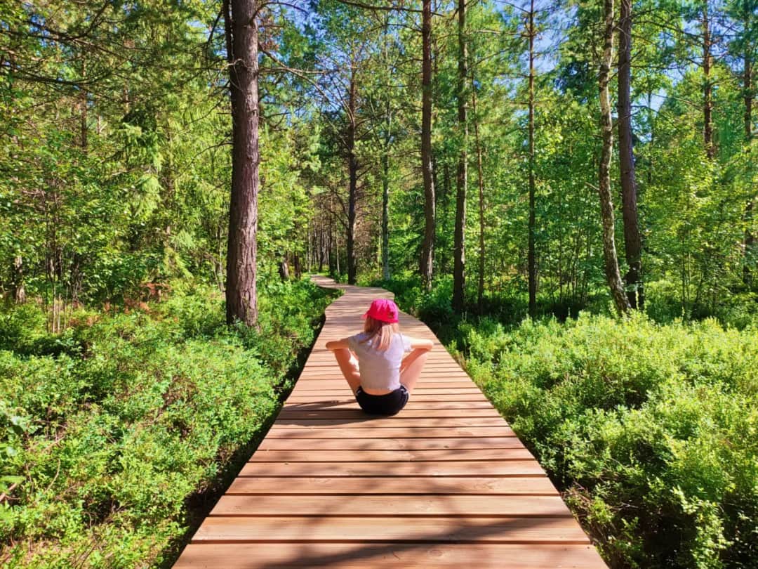 Najlepsze podkarpackie atrakcje, które musisz zobaczyć w regionie