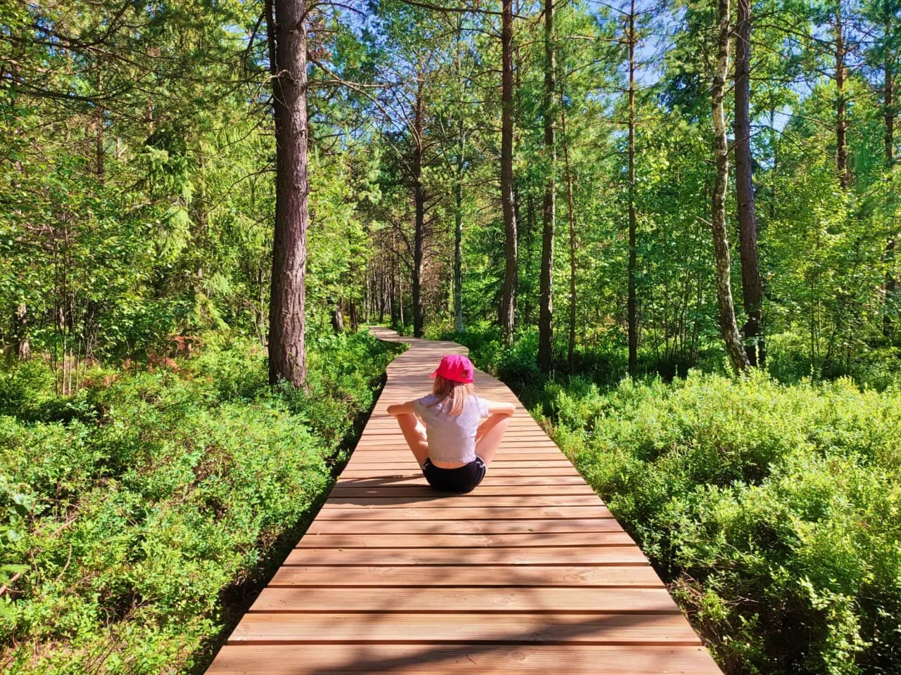 Najlepsze podkarpackie atrakcje, które musisz zobaczyć w regionie