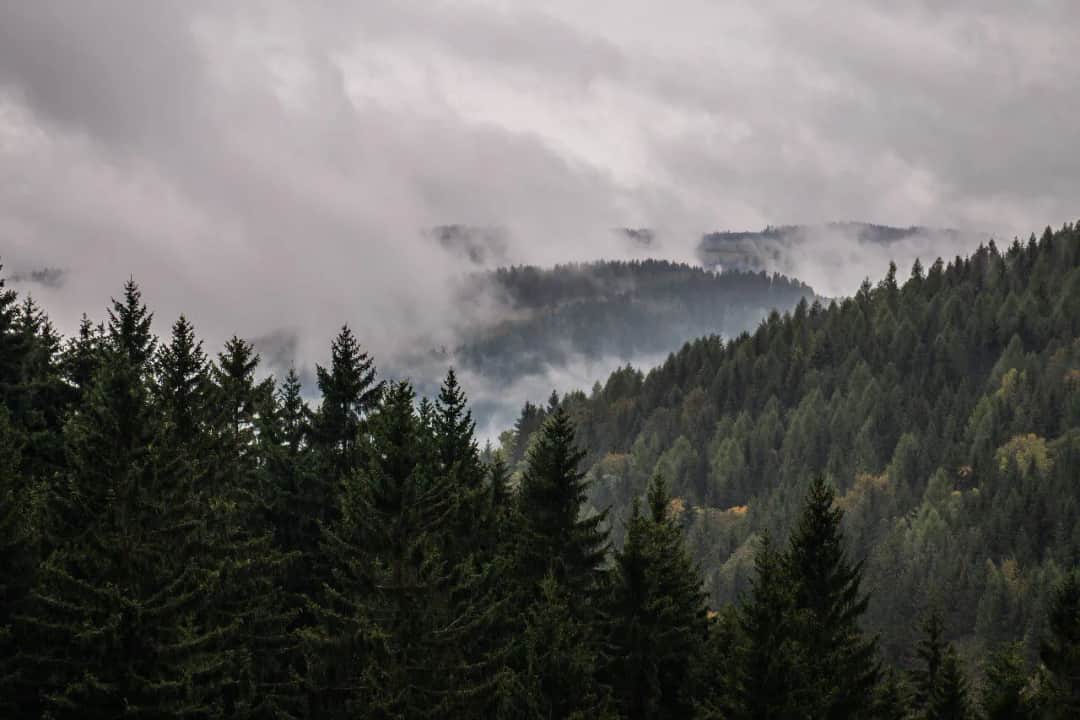 Góry Sowie - najlepsze atrakcje, które musisz zobaczyć