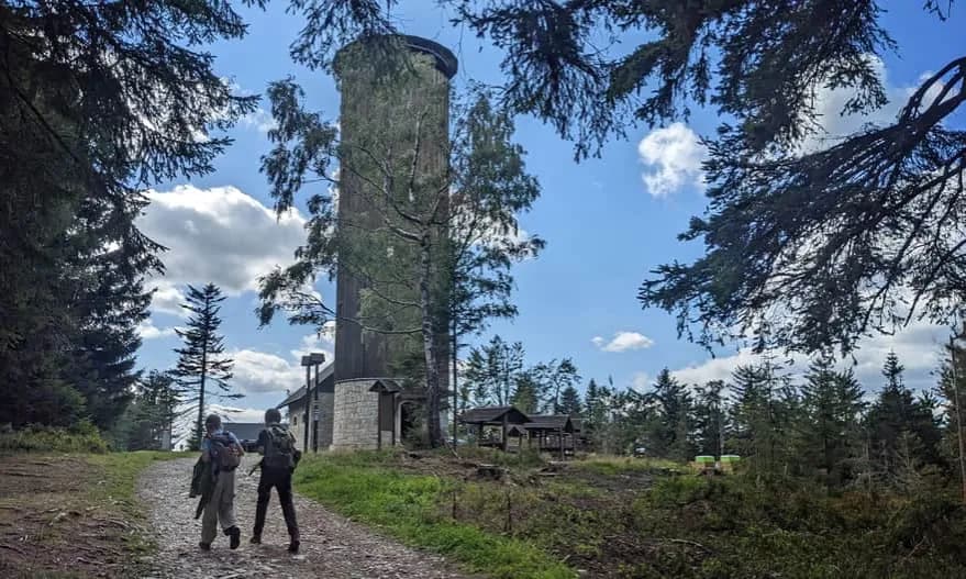 Jak dojść na Borówkową Górę – najłatwiejsze trasy i porady
