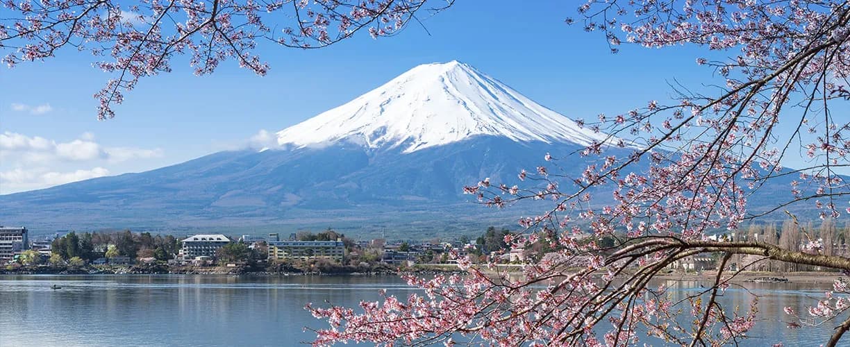 Co może rosnąć w japońskich górach? Odkryj niezwykłą florę Japonii